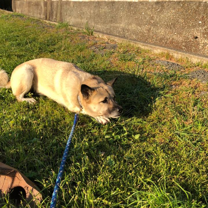 D0a3461e 144b 4c1b b611 f21c58f794c1 1603803013761