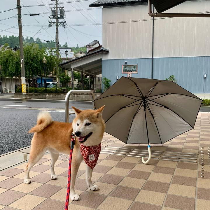 D0a35787 0edc 4607 b9de 77060a177373 1658399608724