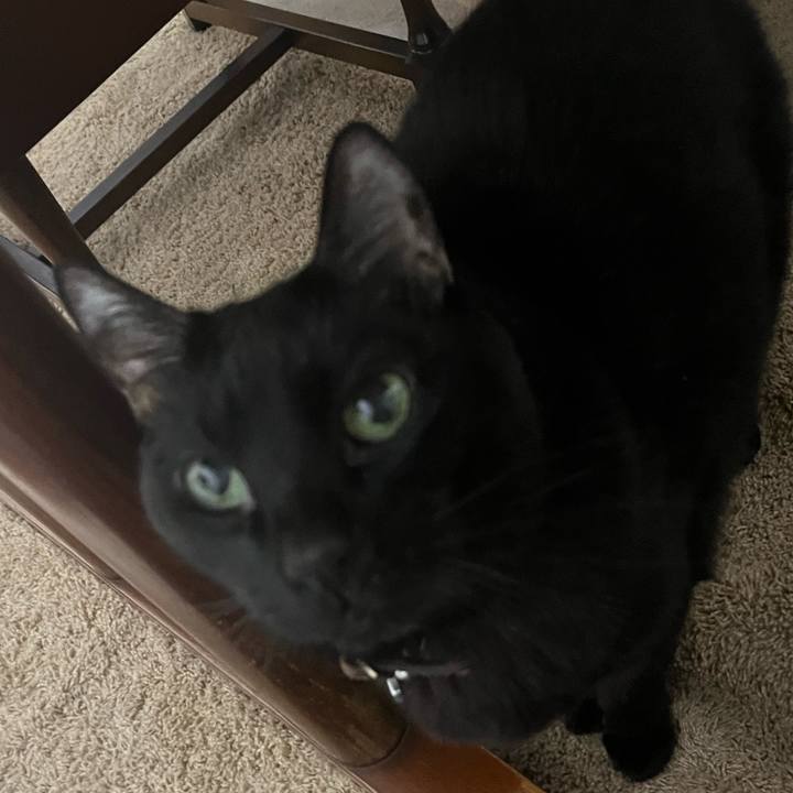 D0a39ac5 8530 41ce 86ab abe32c38a8bb 1770167253630