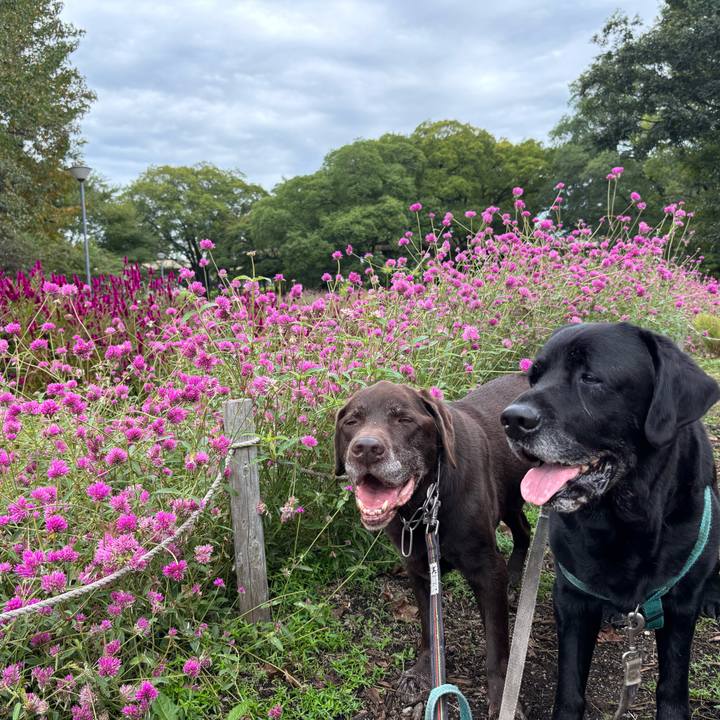 D0a3a664 baa4 40fa a55e fd1c015e4959 1760964331923