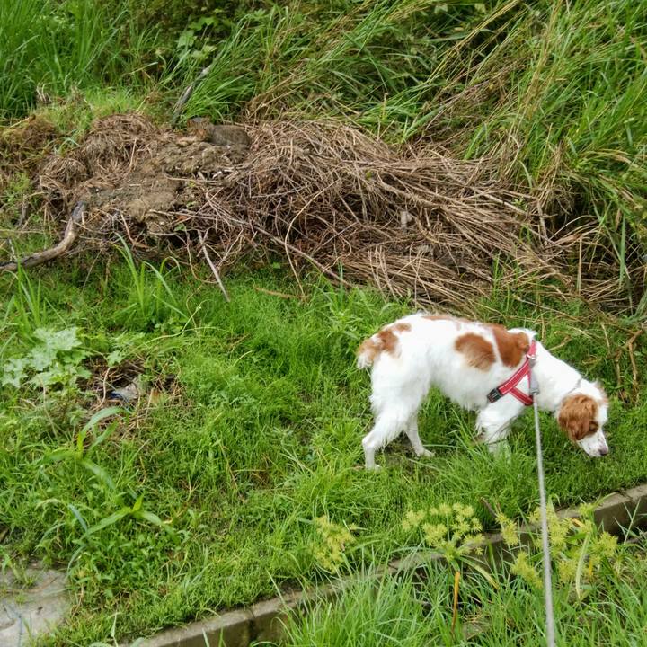 D0a3b5ab 6618 4008 bfa7 211b8a7c6e4f 1536972412898