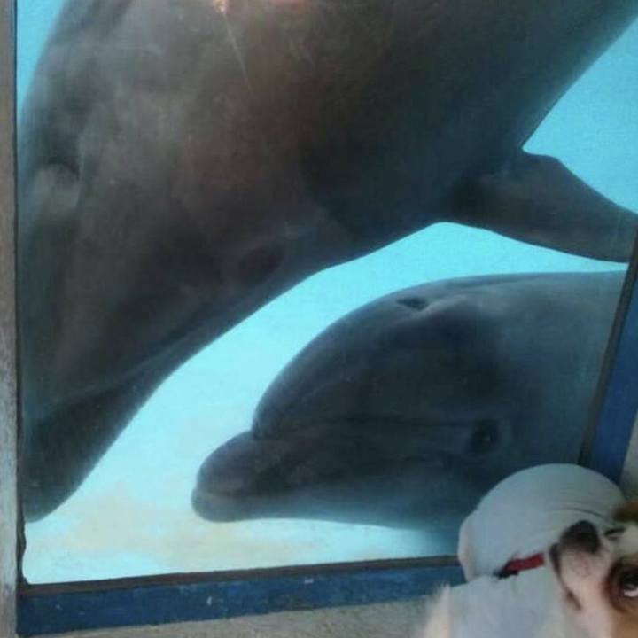 D0a3d1f2 af6a 4fa3 8ac9 38d7f4b0e92e 1631534816652