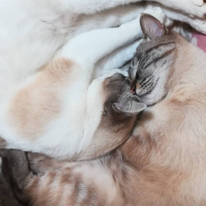 D0a3de9c 056c 4ef7 b13d 6d92d4e97bfa 1587211649984