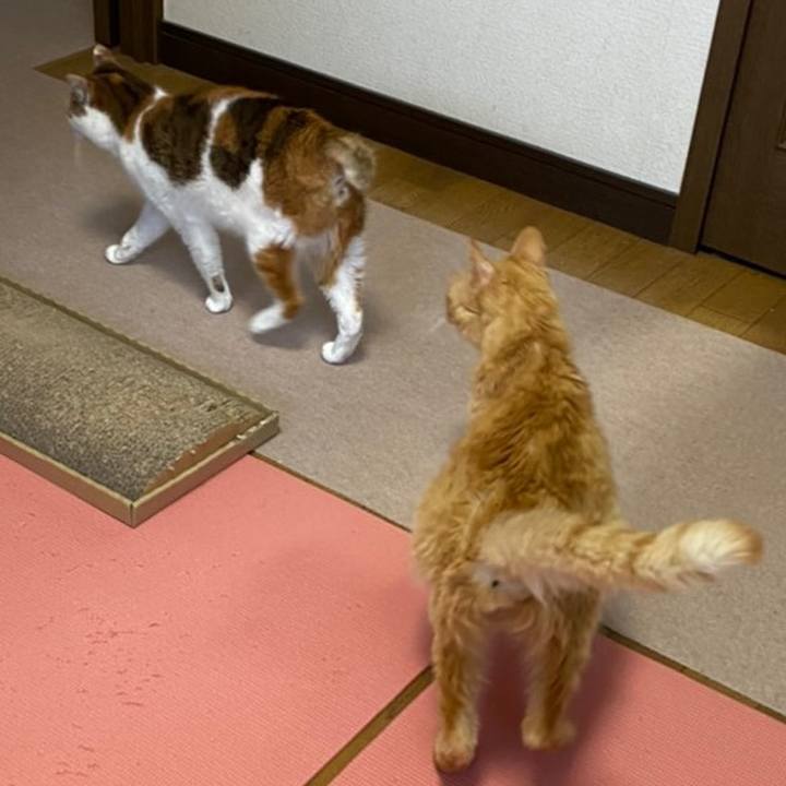 D0a417e9 c5b0 4c8a adcf bb1ceefb04d4 1609385735931