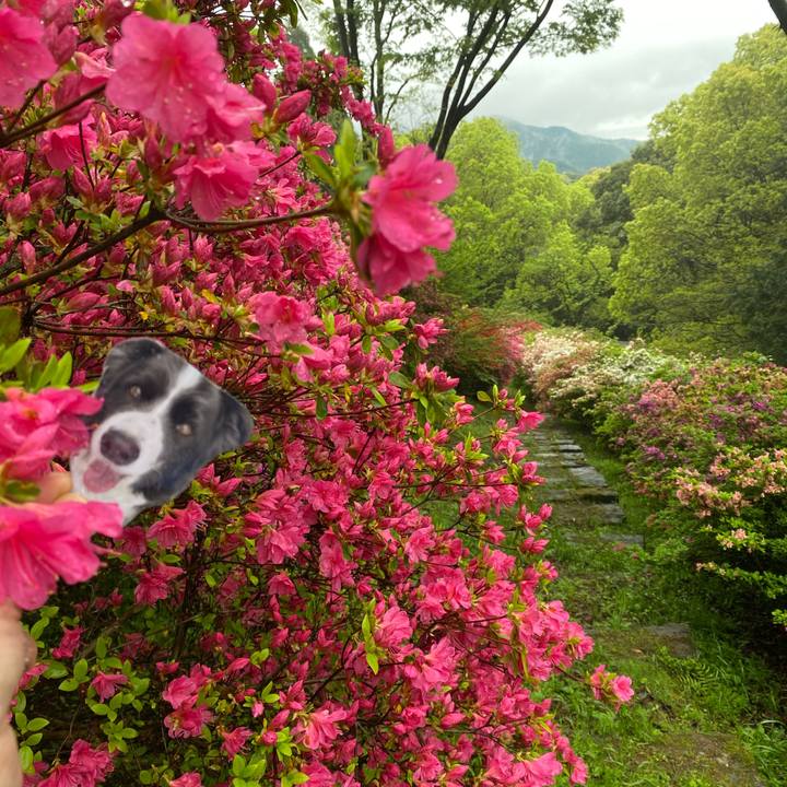 D0a45e63 0e5f 485b bcc8 0efd324276cf 1745390523030