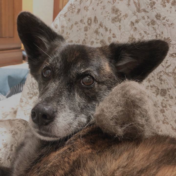 D0a46715 4681 4d37 8ea7 9c34f50b1110 1621436581891