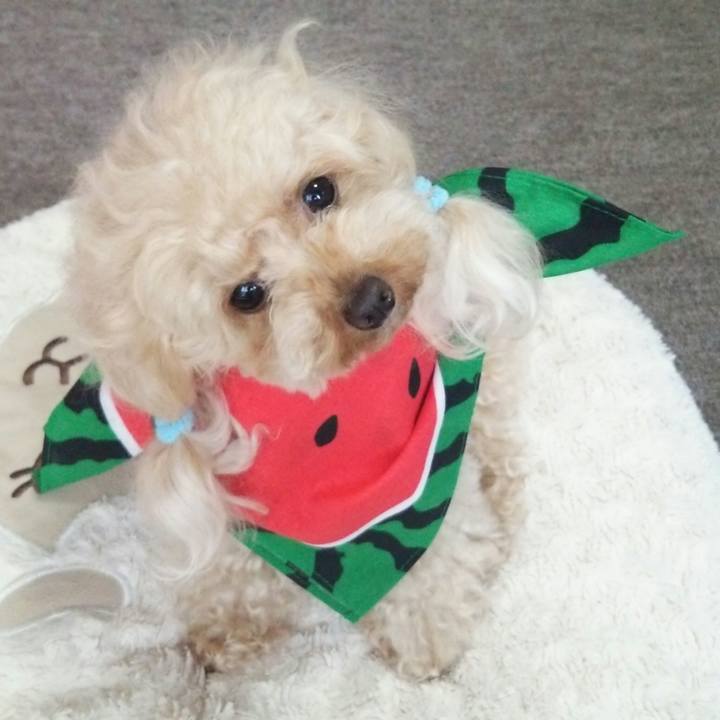 D0a47107 7c0d 48a0 982a bac4d335b997 1531473624642