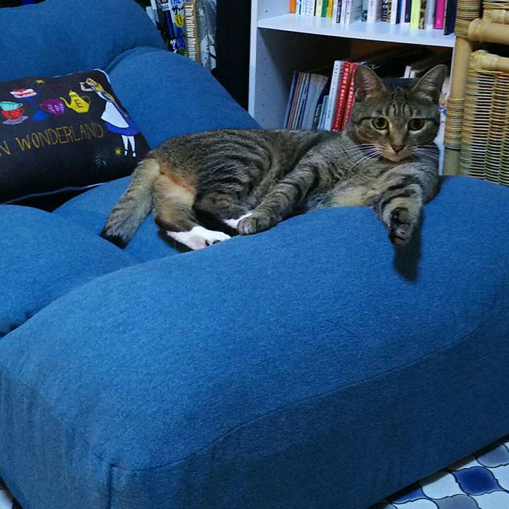 D0a4b0e8 6353 409a 859b c6c66644d496 1540560896400