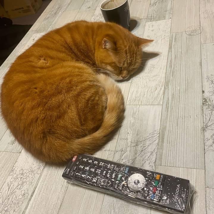 D0a4d5fd 9561 40ac b822 0bbaa52611b0 1605745856935