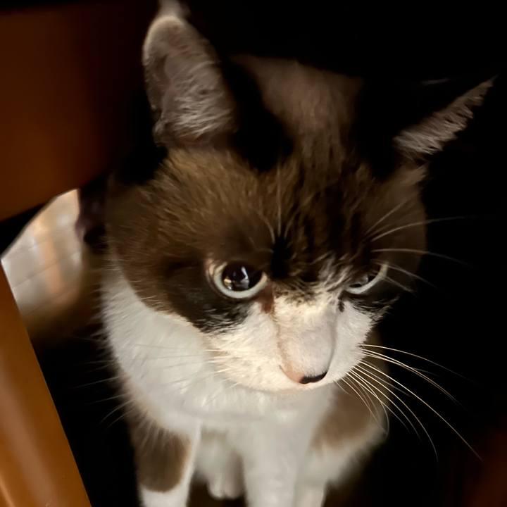 D0a50386 dc2e 49c4 8374 cb6ce0667fc6 1763414864421