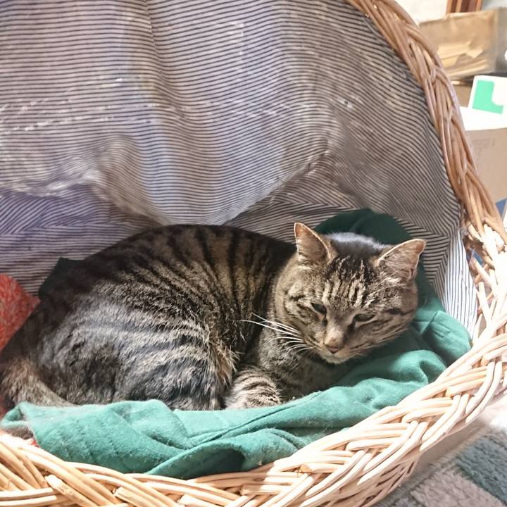 D0a5331e a026 438d ab27 51cf2fa6aa93 1643234932483