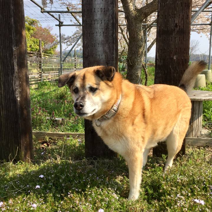 D0a54ead b7ce 4bb2 bace 550d5511f83c 1586341909143