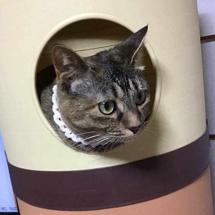 D0a56215 217d 4ab5 82a8 4bc763ed66c4 1688905850757