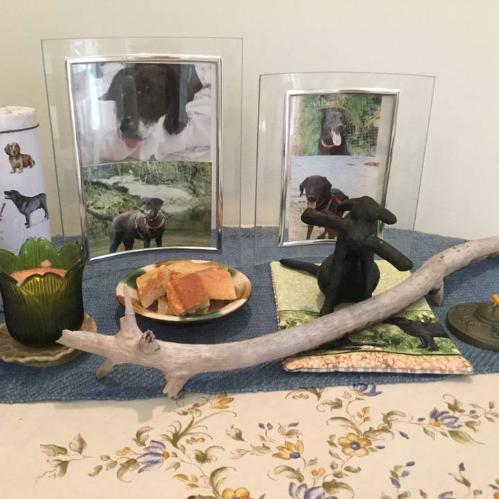 D0a59da8 7bc2 4e06 b6fe da8f0fa5f3f7 1598867347098