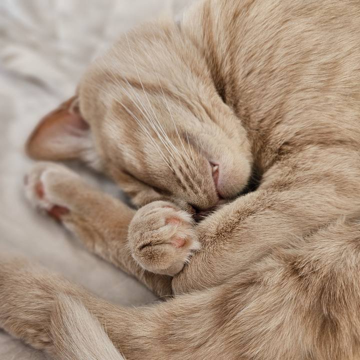 D0a5a54b 9a1f 42d0 8bbb 46335ee3ef59 1707711238525