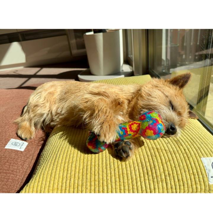 D0a5b97b bb19 477c b117 25b13a3256a1 1740839655997