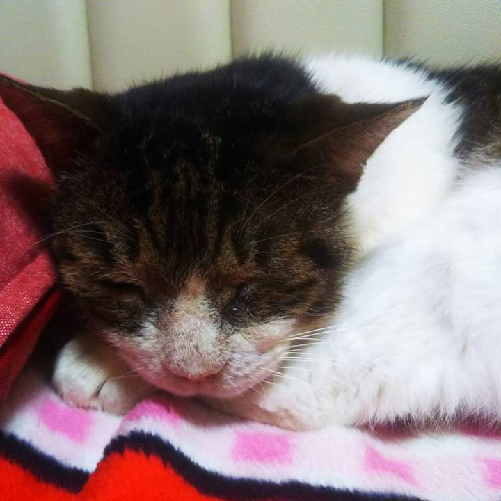 D0a5c822 ef08 4c7a a006 88068381e267 1570445710082