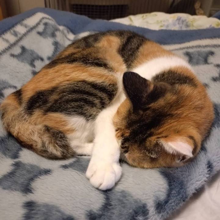 D0a5cb55 c012 4f35 8eab 75090765332d 1727871526004