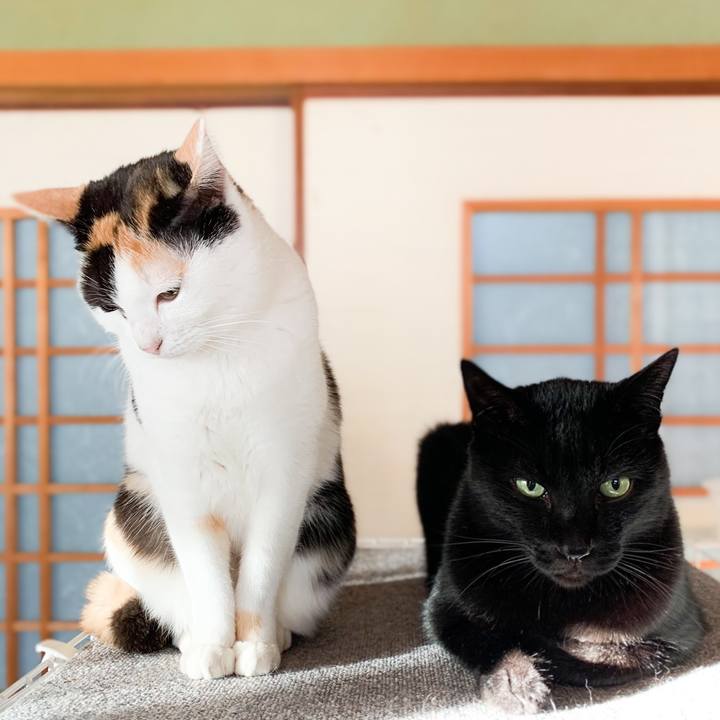 D0a5d03d 3009 4075 b9a3 842983328249 1579143058165