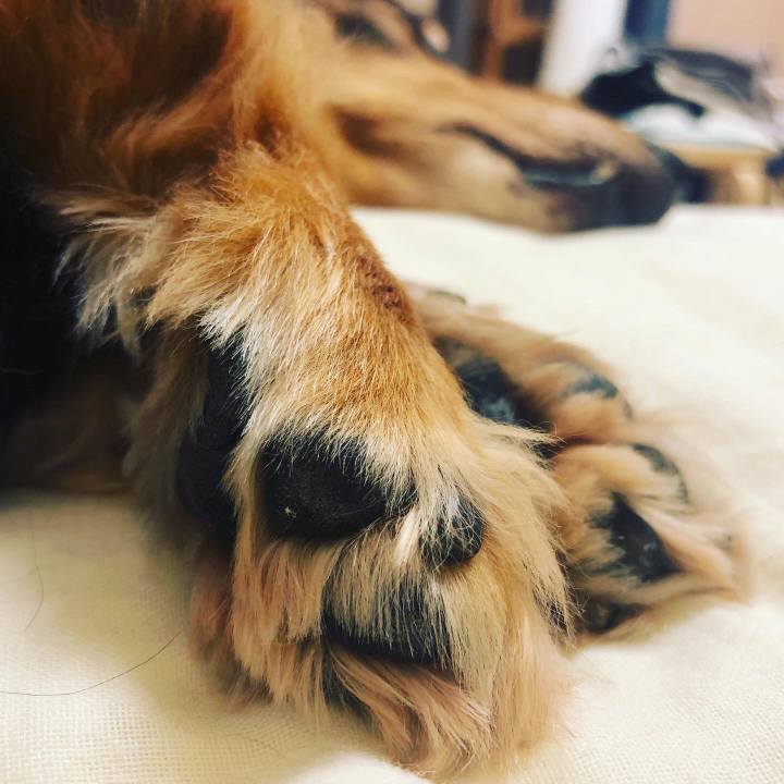 D0a5eed8 2935 4ccf bb93 ecf9fdf10f24 1595768847971