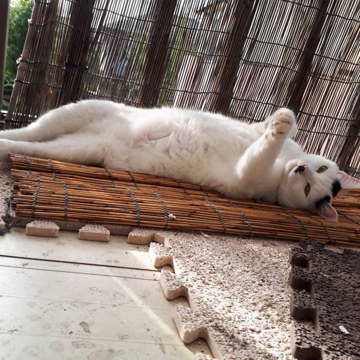 D0a5f77b 220d 46ca 90be 455661971cf0 1519789017557