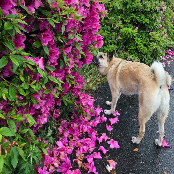 D0a609df 2013 4e62 a10f e8bd4440699b 1589101563519