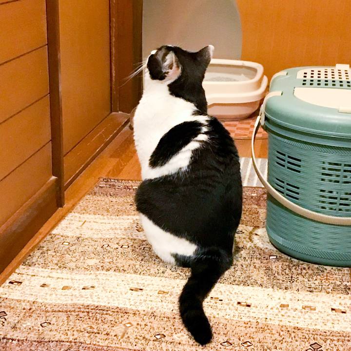 D0a61ab5 9d65 4d5e 9e64 05df729658e6 1525703601293