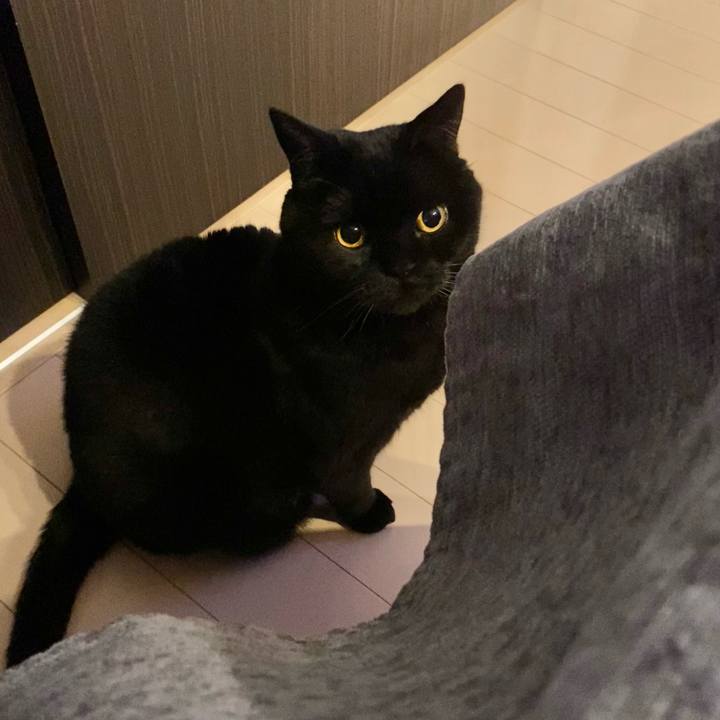 D0a63713 b929 46f4 81d8 1a5ab28ebc67 1734094766002