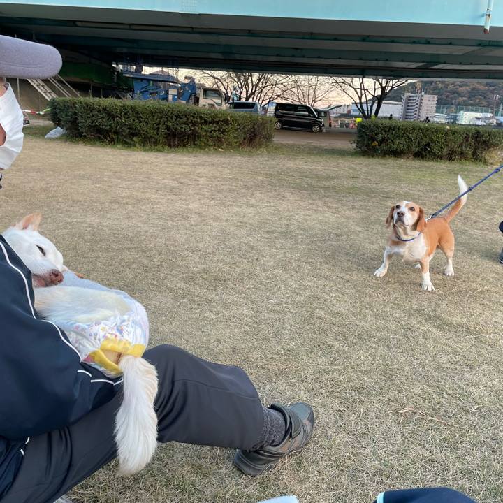 D0a649cd 4234 4f46 b23e 028ebb8a7fdc 1671460772020