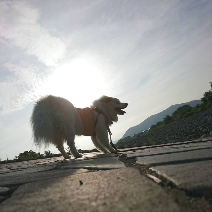 D0a65646 2a4b 4dd1 8ded 703b9463db73 1534283367761