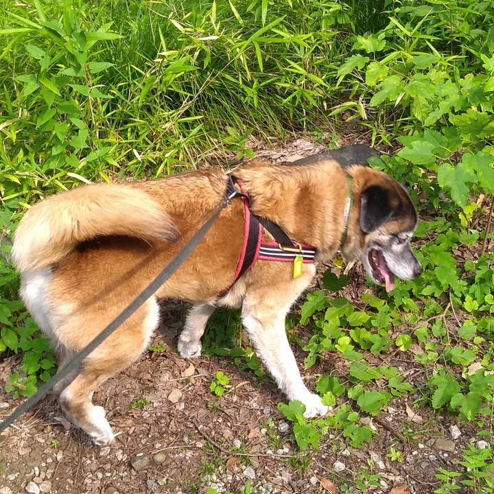 D0a65763 182c 413f 9ac8 928220eb6cae 1564702877171