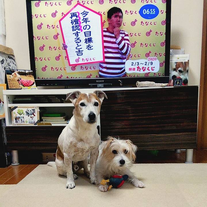 D0a68771 9b40 42ba 81d9 a83e84a395b8 1580729332856