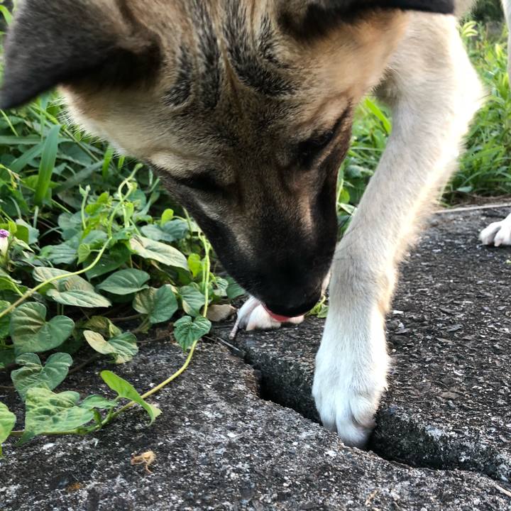 D0a6882d 6970 4256 b5d9 d4344f4d14b0 1536144734163