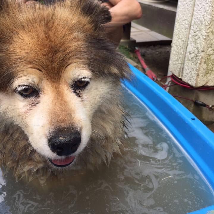 D0a6b308 696d 402f ab97 9eda124486da 1551253261624