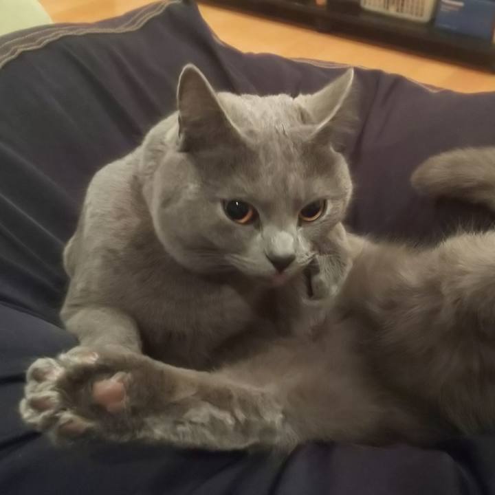 D0a6d55d 9f94 41dd ab32 358a87a8eabf 1549891774517