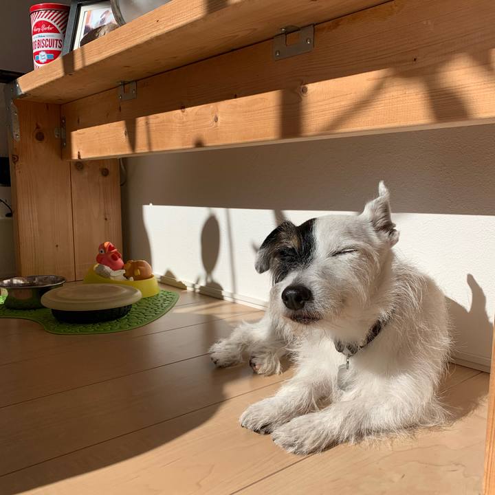 D0a6d7d2 9238 4294 aa6b e5f4ebb14ac3 1732419179392