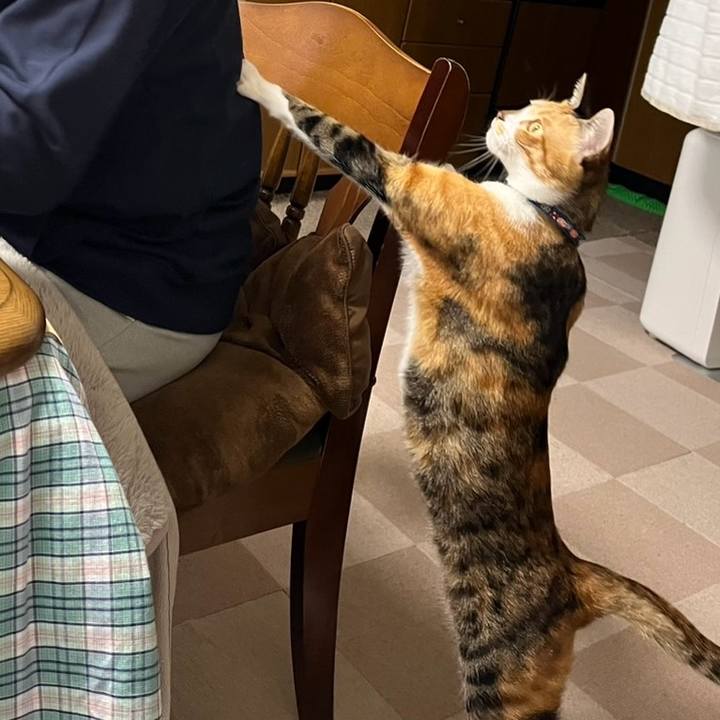 D0a70516 ec55 4c49 9166 ad0a785462d9 1773977909202