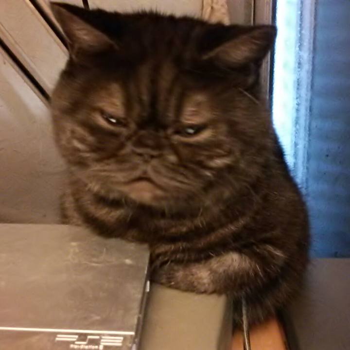 D0a7245a e09c 4e33 822b 719f6016e035 1540007757695