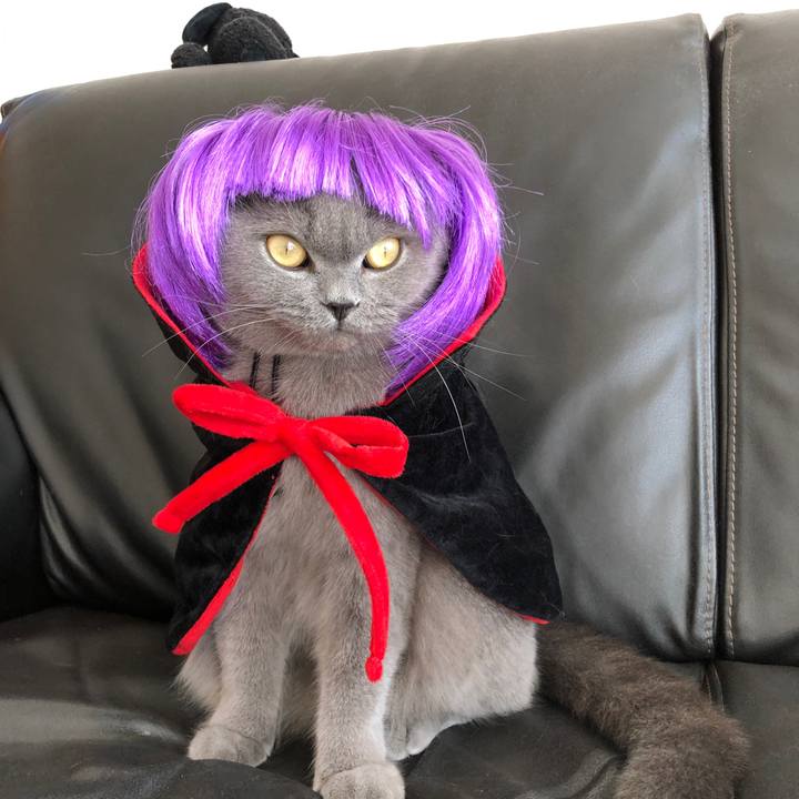 D0a73aa7 4904 4ae1 8f90 f6ff14d5fe28 1540902826972