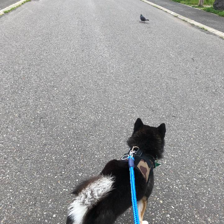 D0a745cc 80a3 4962 9a74 1b466cb17bb4 1562640243537