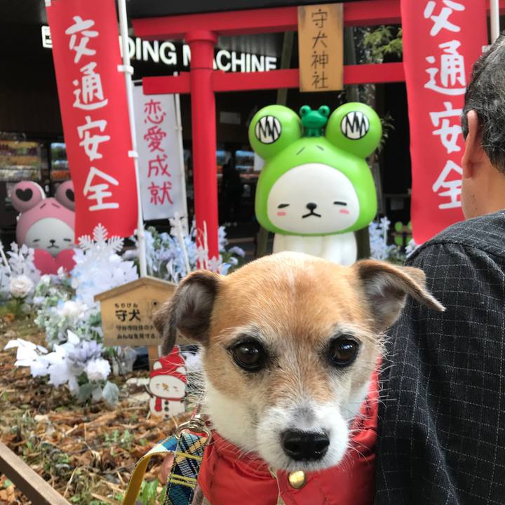 D0a77fa1 78eb 42d7 91d4 b889417412b0 1579072570719