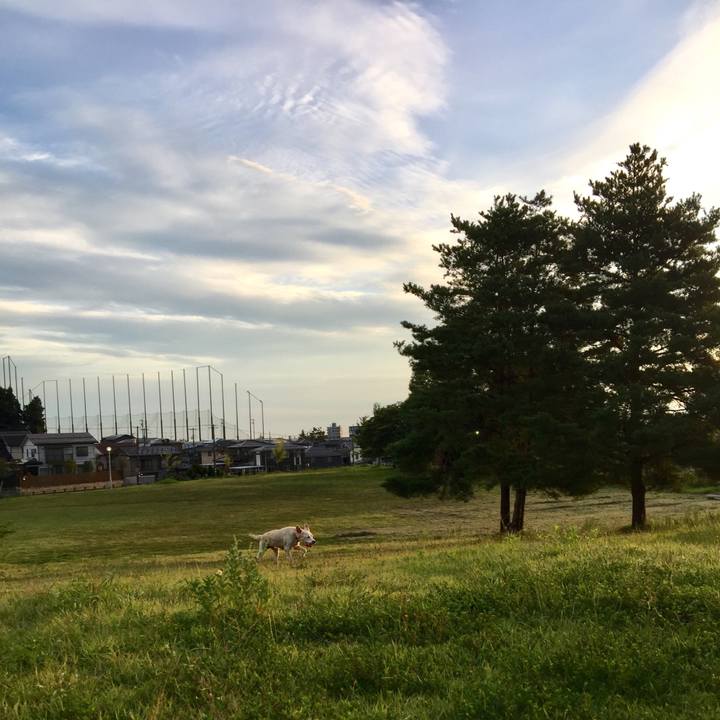 D0a7dd6a beb3 48ac 99ba fcd8143df336 1562239892845