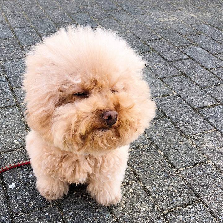 D0a7f211 e93f 4f5d 88ad fcec4cef64a5 1518944661737