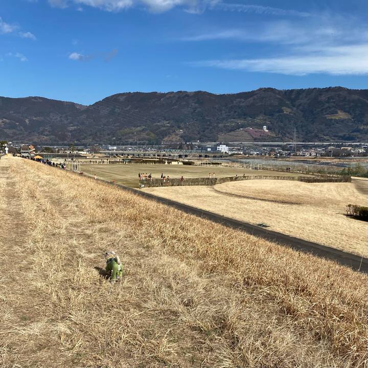 D0a7f8ad a0a3 49dd a7a7 7d6a8525bf22 1677139244976