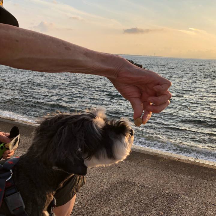 D0a81e93 08c0 49f7 8c7e e561720f8d2d 1658062181156