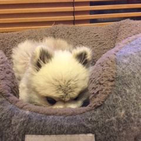 D0a83745 f72c 427f b235 79f0675d6480 1524004884587