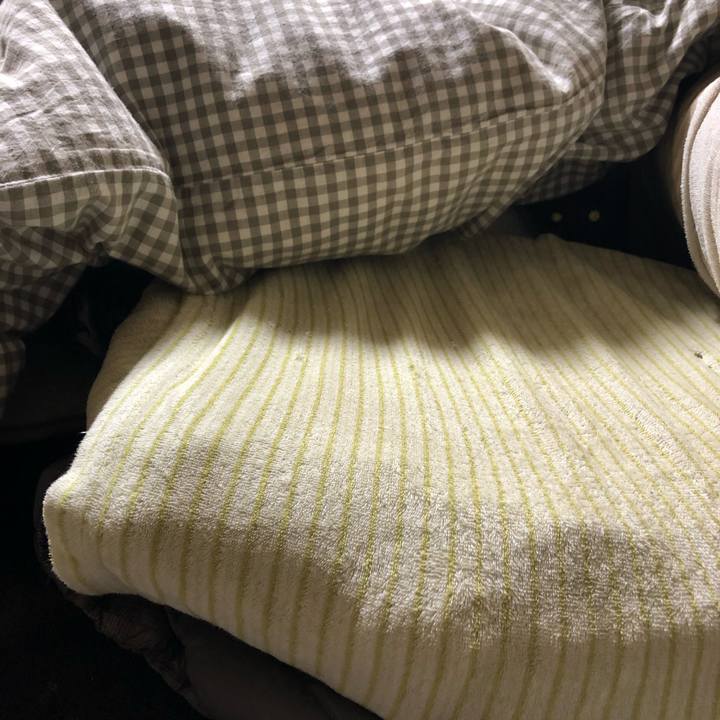 D0a87e95 8b97 456a ba16 5f8d43d317fb 1579849107686