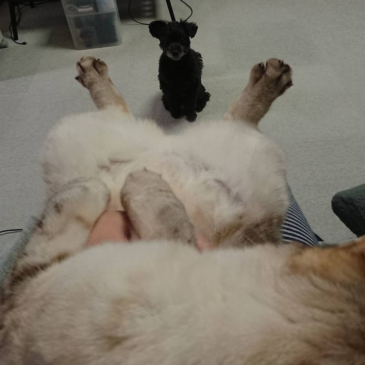 D0a88fd7 e9e9 4119 ba31 61a52b9aab3d 1574864949991