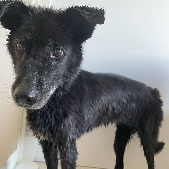 D0a8ec31 35cf 4ce7 b376 6007d2ea9fc5 1655612241375