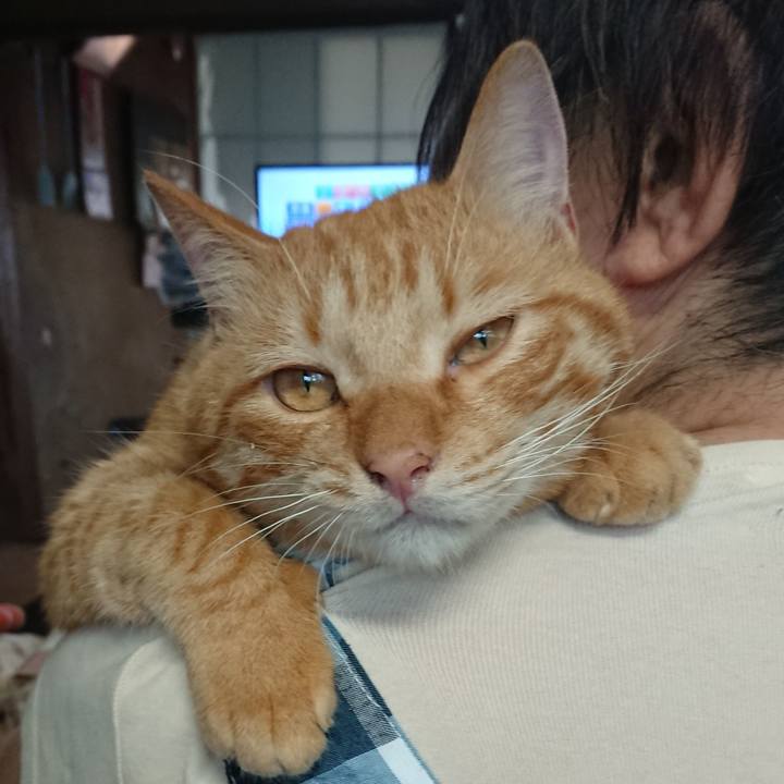 D0a94169 6195 41ec 9308 fbb4c7636176 1663308143427